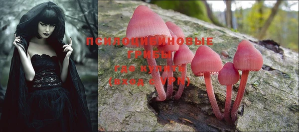 PSILOCYBIN Кинешма