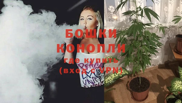 PSILOCYBIN Кодинск