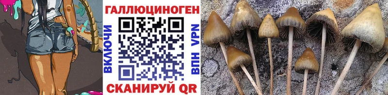 Галлюциногенные грибы Cubensis  кракен ONION  Кирово-Чепецк 