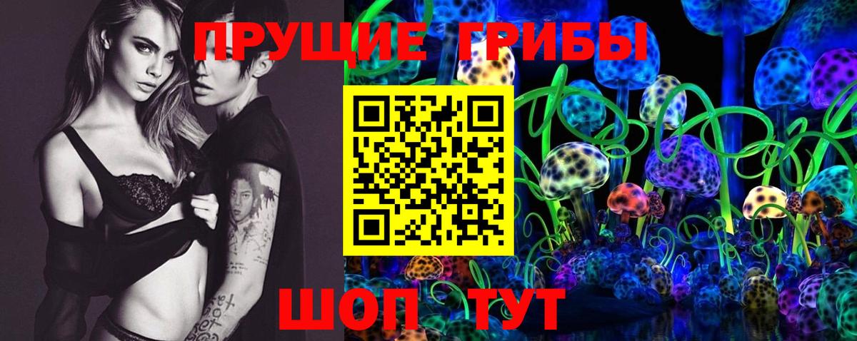 закладка  Галлюциногенные грибы MAGIC MUSHROOMS  Кирово-Чепецк  Вход с VPN  Галлюциногенные грибы Magic Shrooms 